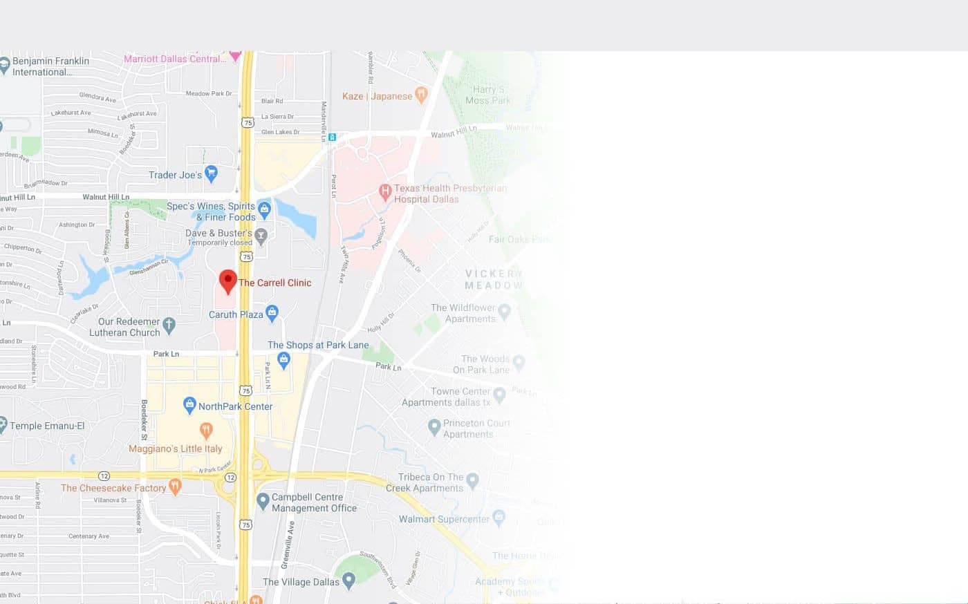 Google map image with icon